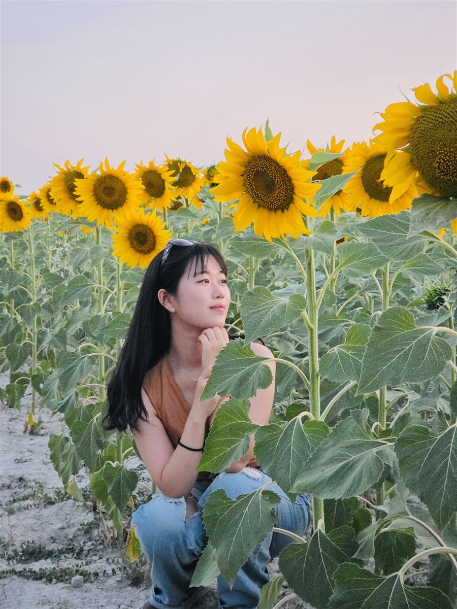 Minseo Kim en un campo de girasoles